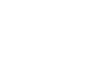 Terzi Law logo